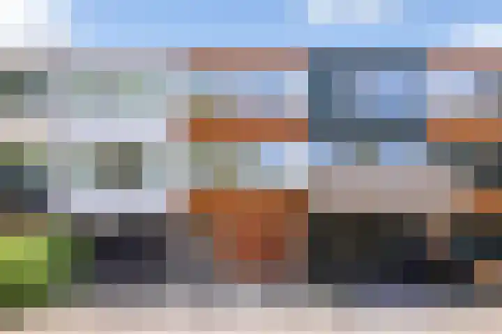 Kamillestraat 9 Apeldoorn thumbnail 37