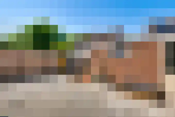 Kamillestraat 9 Ospel thumbnail 30