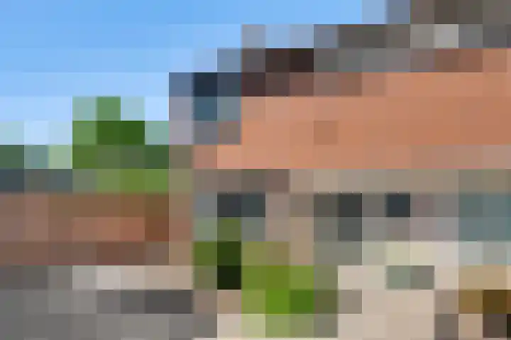 Kamillestraat 9 Ospel thumbnail 6