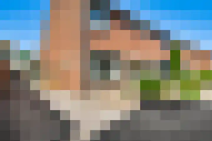 Kamillestraat 9 Ospel thumbnail 8