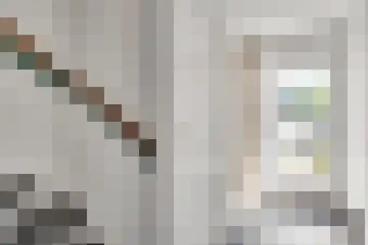 Kamillestraat 9 Ospel thumbnail 9