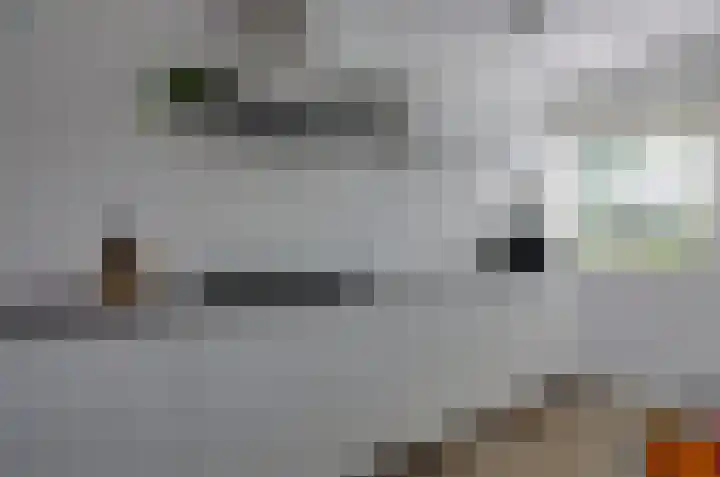 Kamilletuin 13 Assen thumbnail 10