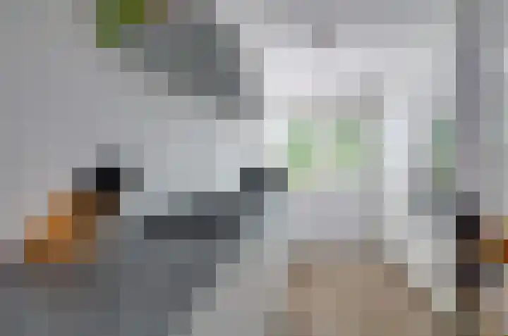Kamilletuin 13 Assen thumbnail 12
