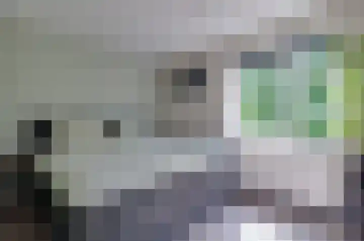 Kamilletuin 13 Assen thumbnail 19