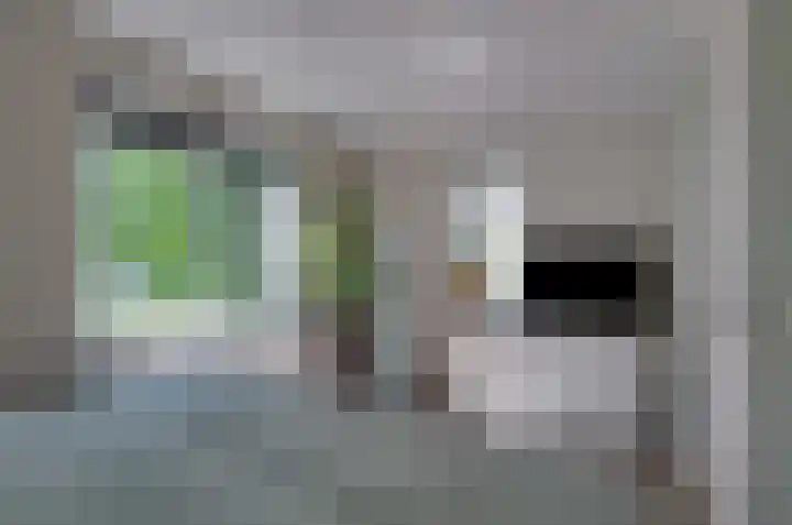 Kamilletuin 13 Assen thumbnail 20