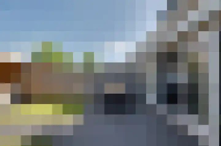 Kamilletuin 13 Assen thumbnail 30