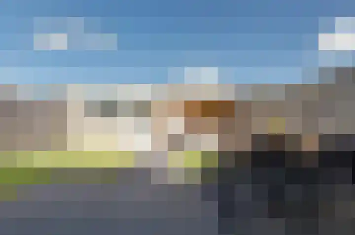 Kamilletuin 13 Assen thumbnail 31