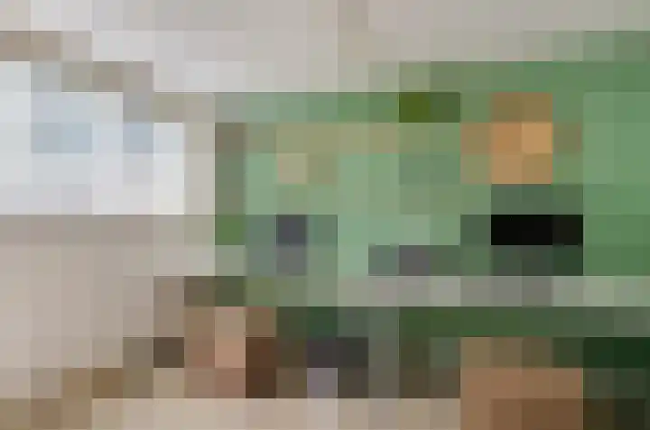Kamilletuin 13 Assen thumbnail 36
