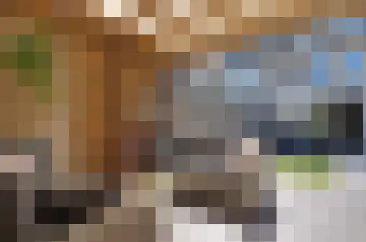 Kamilletuin 13 Assen thumbnail 37