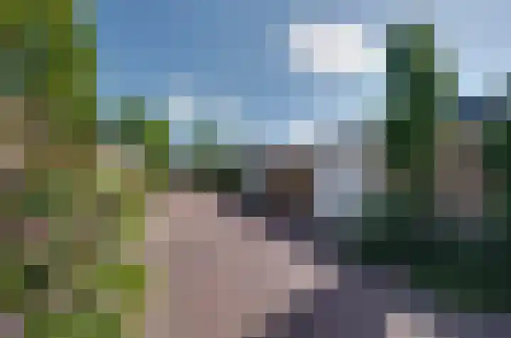 Kamilletuin 13 Assen thumbnail 39