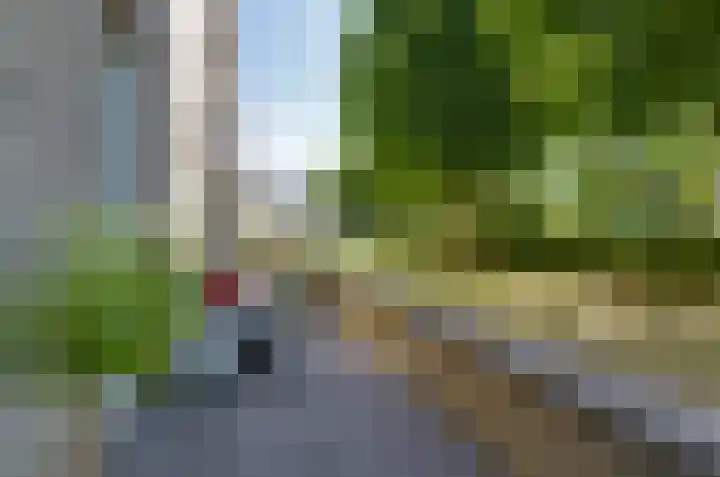 Kamilletuin 13 Assen thumbnail 4