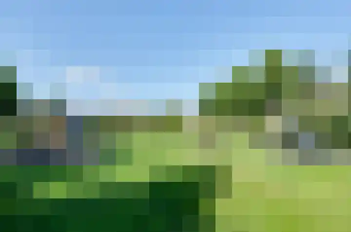 Kamilletuin 13 Assen thumbnail 41