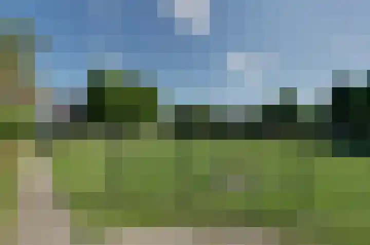 Kamilletuin 13 Assen thumbnail 42