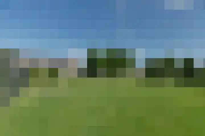 Kamilletuin 13 Assen thumbnail 43