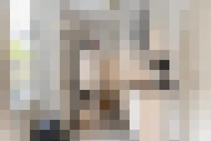 Kamilletuin 14 Dongen thumbnail 14