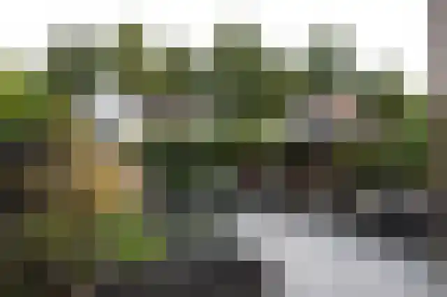 Kamilletuin 14 Dongen thumbnail 15