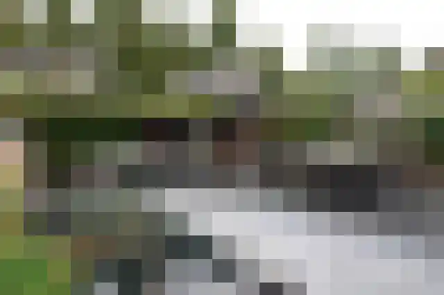 Kamilletuin 14 Dongen thumbnail 16