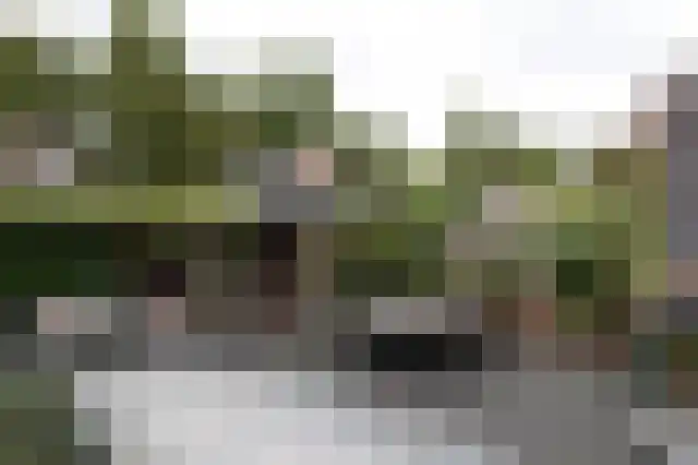 Kamilletuin 14 Dongen thumbnail 17