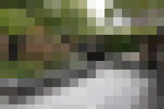 Kamilletuin 14 Dongen thumbnail 18