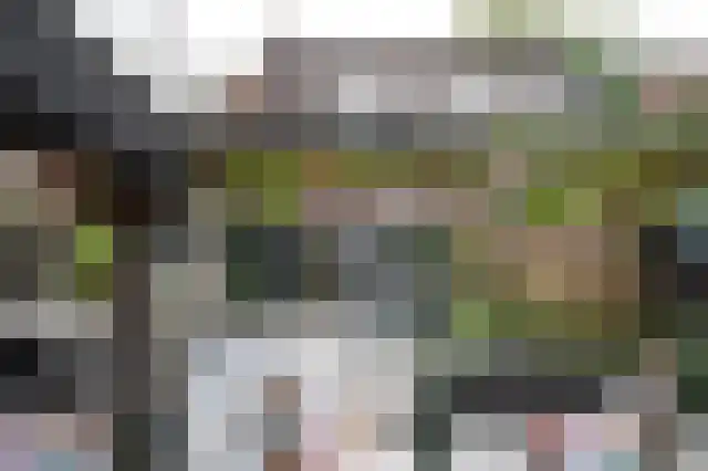Kamilletuin 14 Dongen thumbnail 20