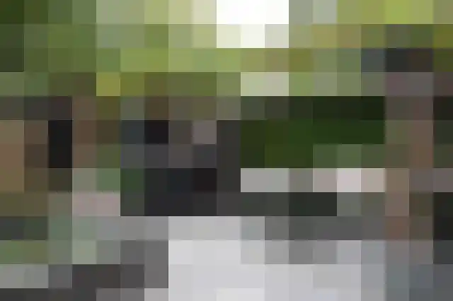 Kamilletuin 14 Dongen thumbnail 22