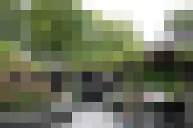 Kamilletuin 14 Dongen thumbnail 23