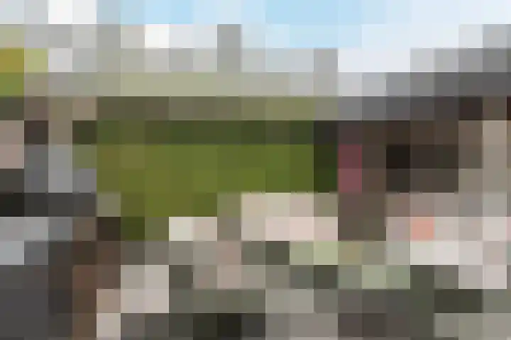 Kamilletuin 14 Dongen thumbnail 24