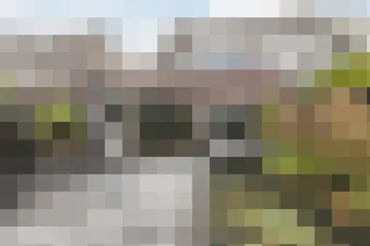 Kamilletuin 14 Dongen thumbnail 25