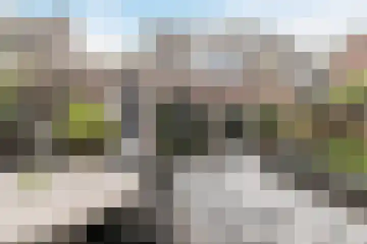 Kamilletuin 14 Dongen thumbnail 26