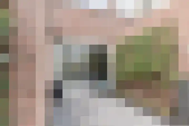 Kamilletuin 14 Dongen thumbnail 27