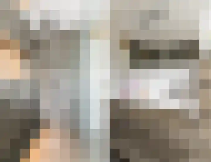 Kamilletuin 14 Dongen thumbnail 37