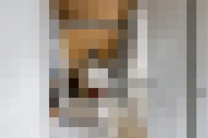 Kamilletuin 14 Dongen thumbnail 38