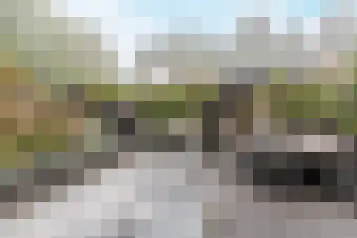 Kamilletuin 14 Dongen thumbnail 4
