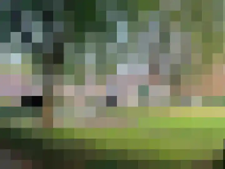 Kamilletuin 14 Dongen thumbnail 43