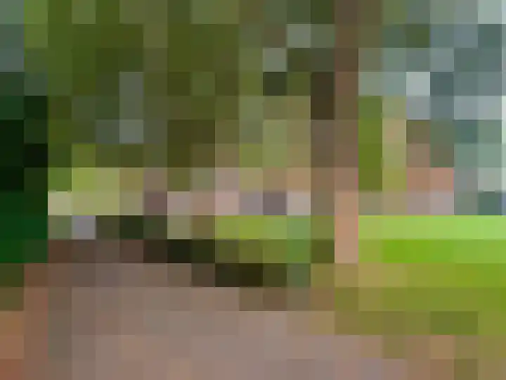 Kamilletuin 14 Dongen thumbnail 44