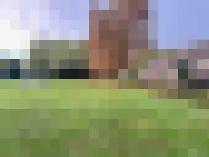 Kamilletuin 14 Dongen thumbnail 45