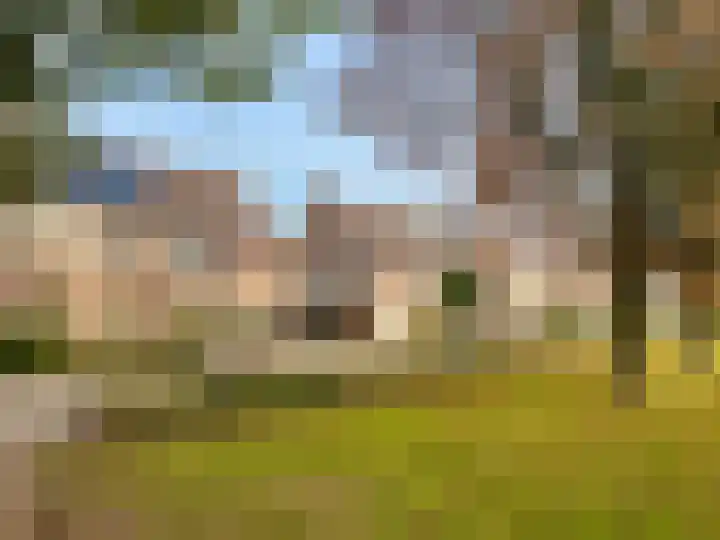 Kamilletuin 14 Dongen thumbnail 5