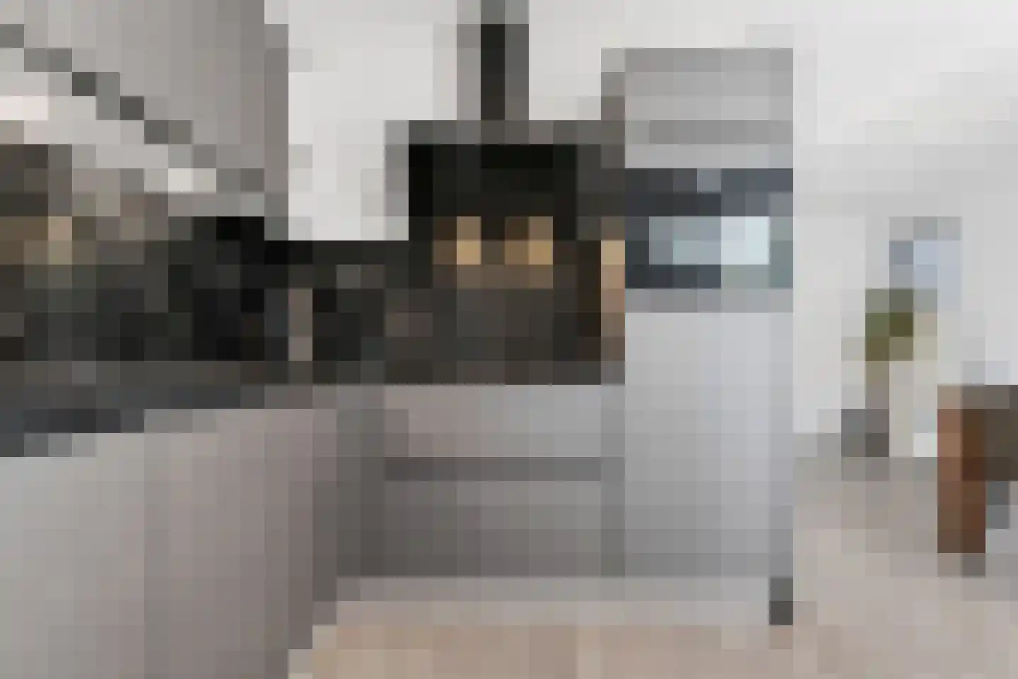 Kamilletuin 24 Assen thumbnail 13