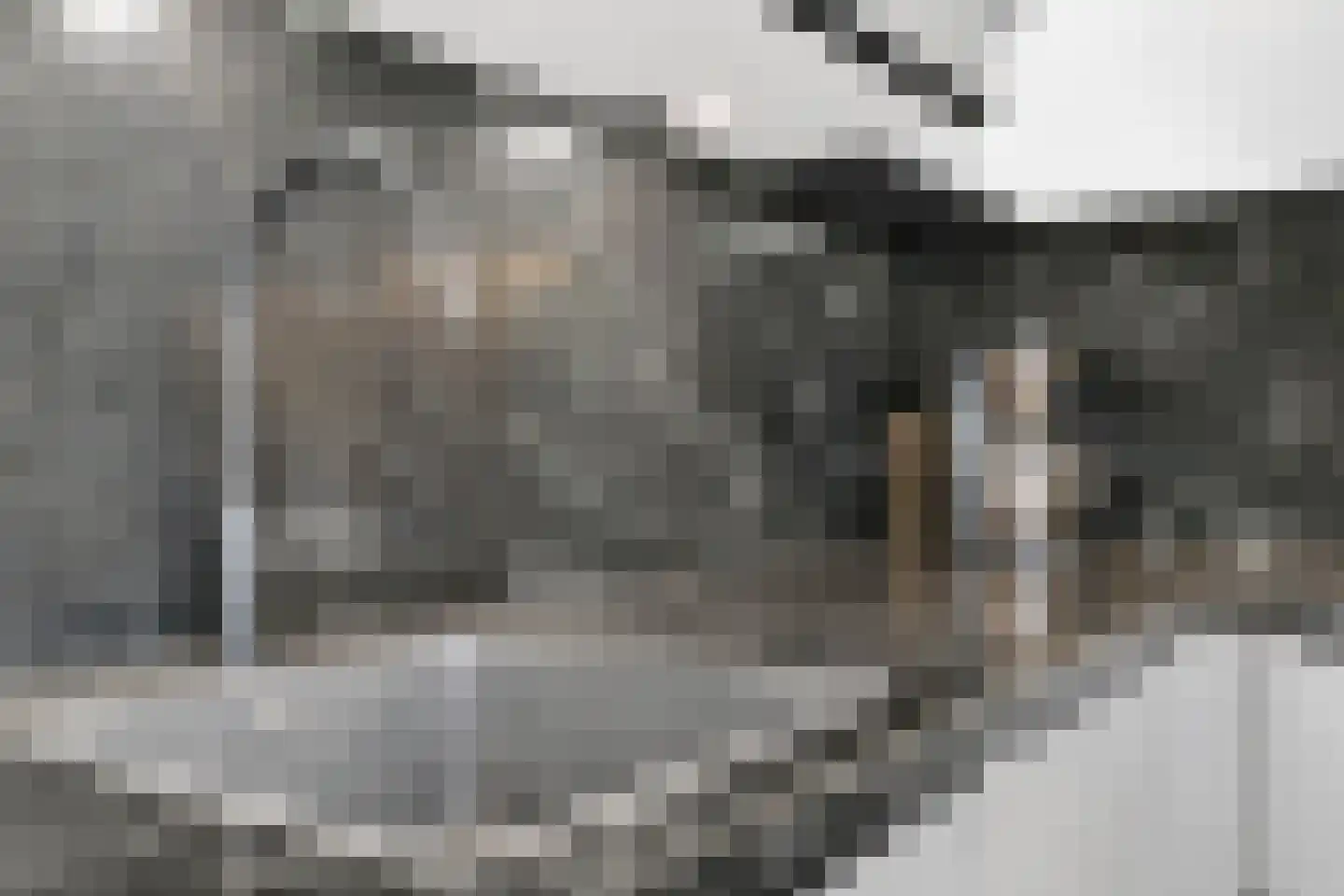 Kamilletuin 24 Assen thumbnail 14