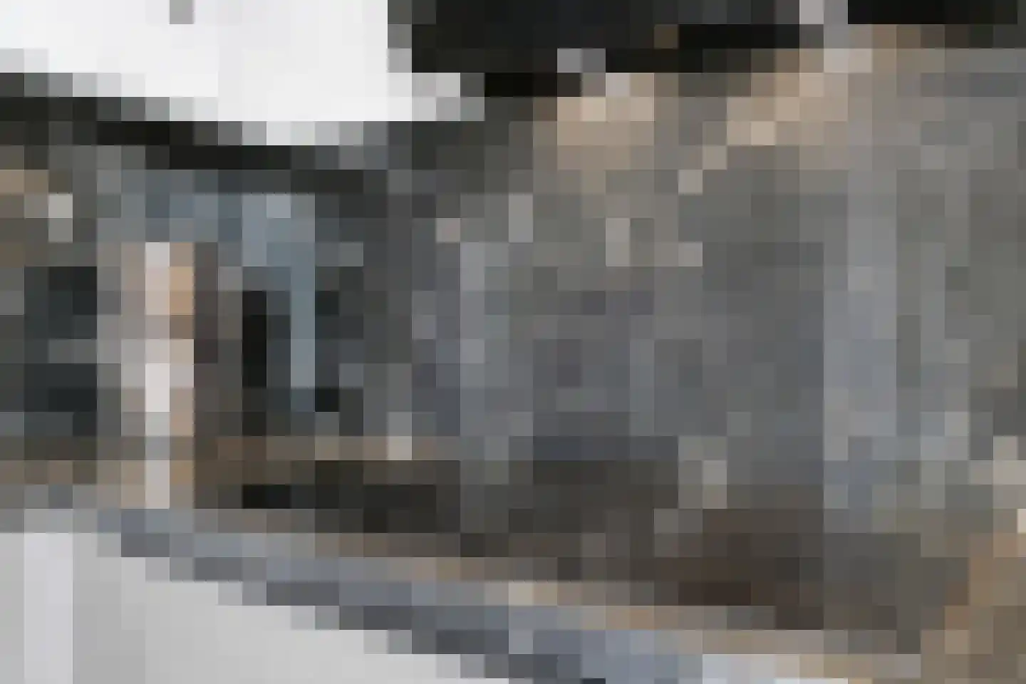 Kamilletuin 24 Assen thumbnail 15