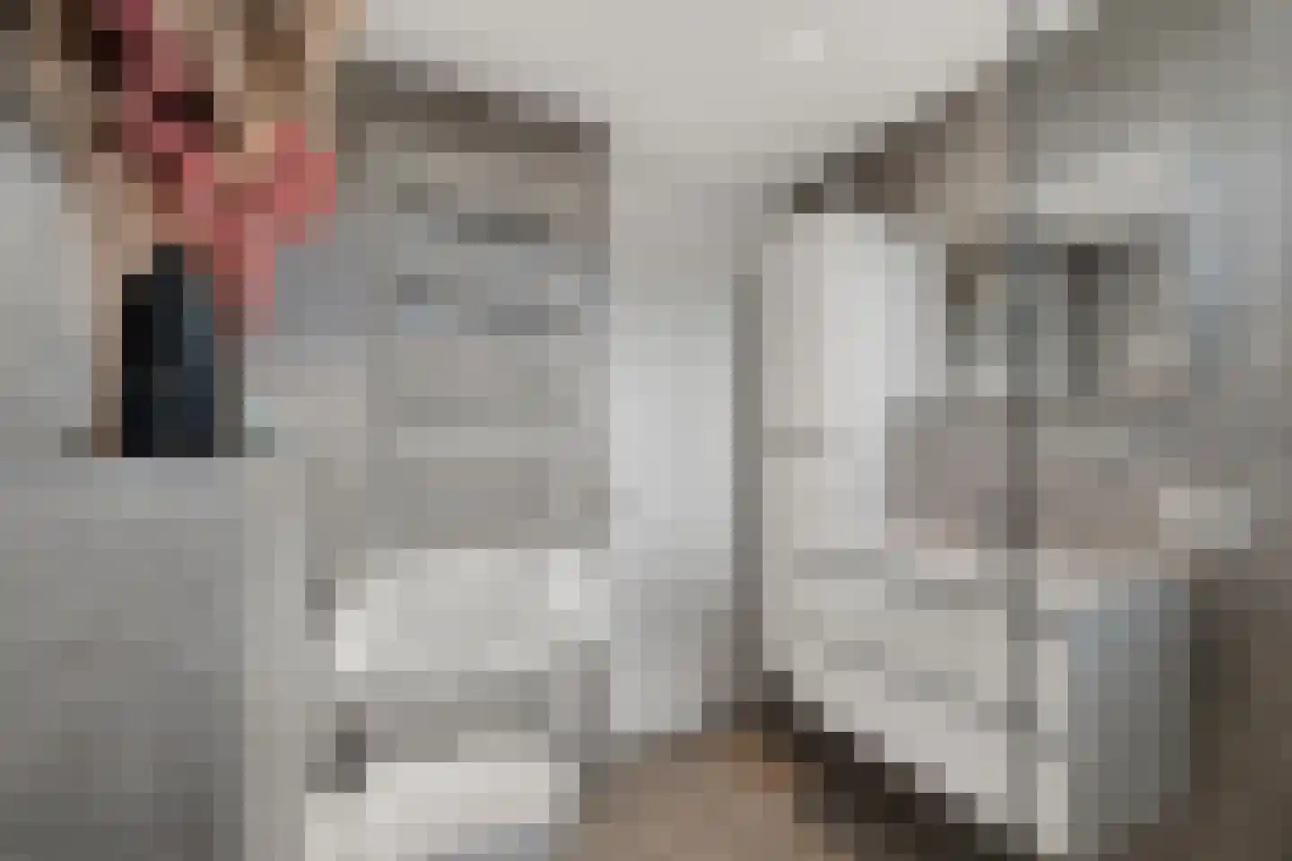 Kamilletuin 24 Assen thumbnail 26