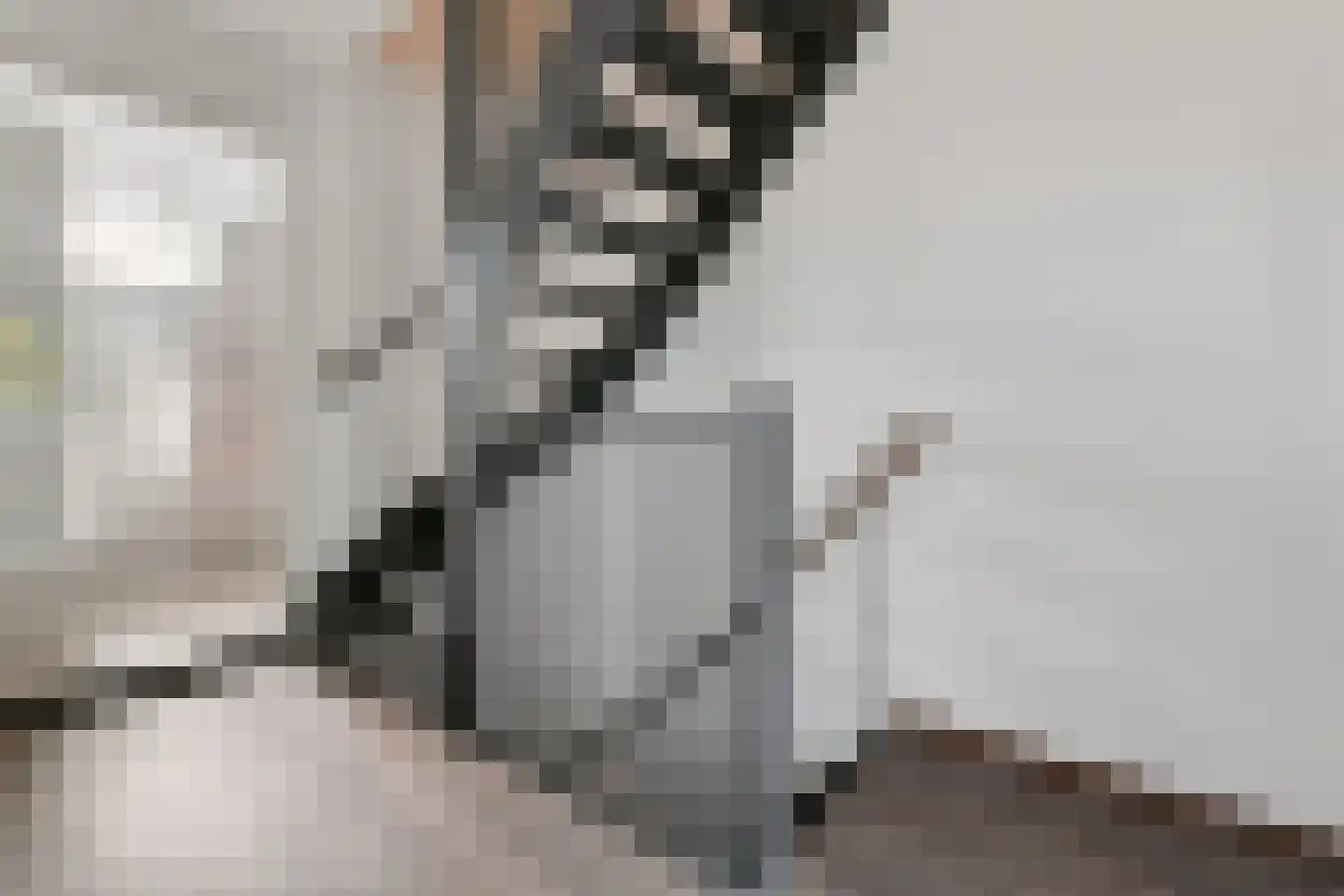 Kamilletuin 24 Assen thumbnail 31