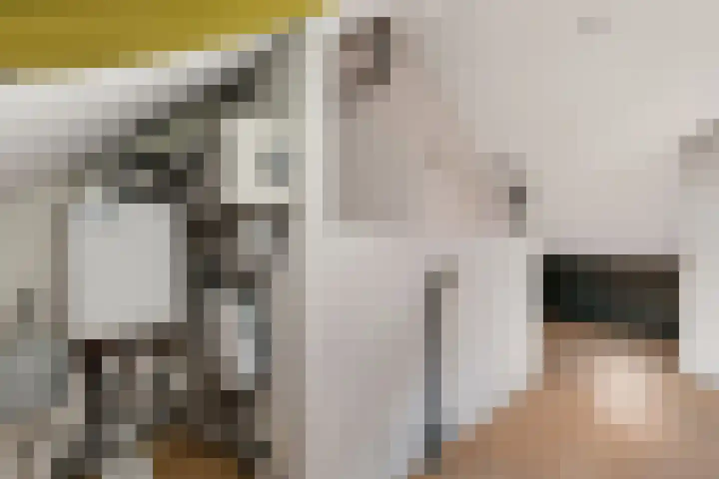 Kamilletuin 24 Assen thumbnail 35