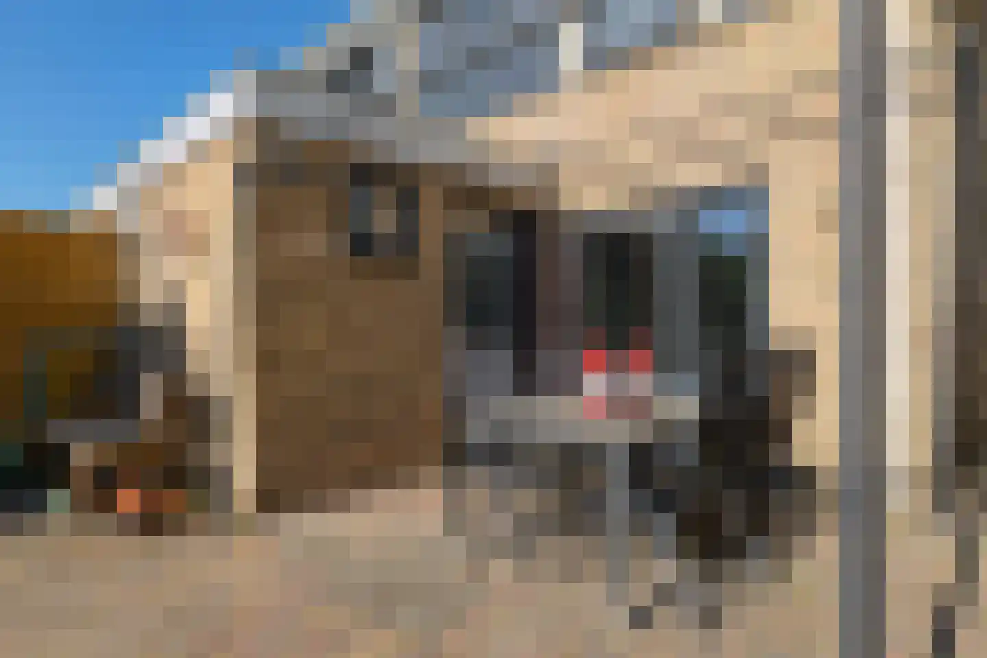 Kamilletuin 24 Assen thumbnail 37