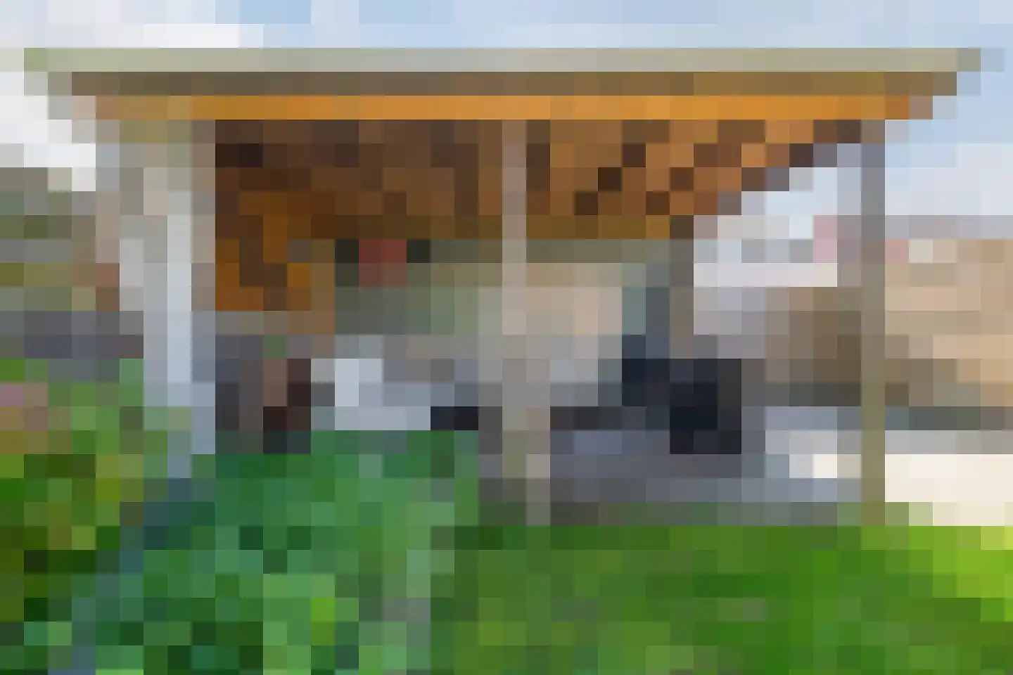Kamilletuin 24 Assen thumbnail 39