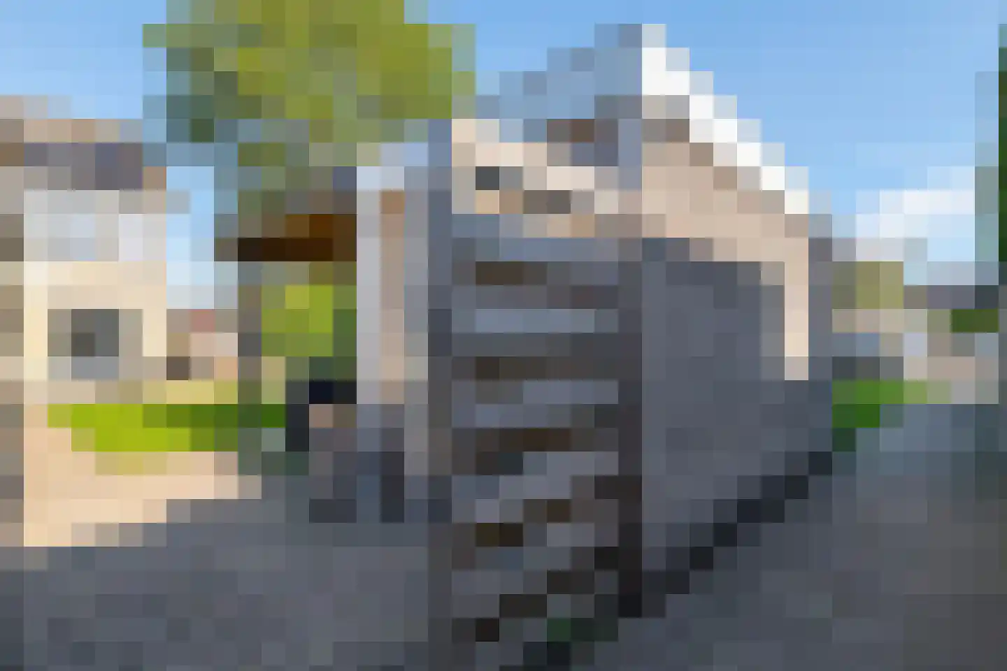 Kamilletuin 24 Assen thumbnail 43