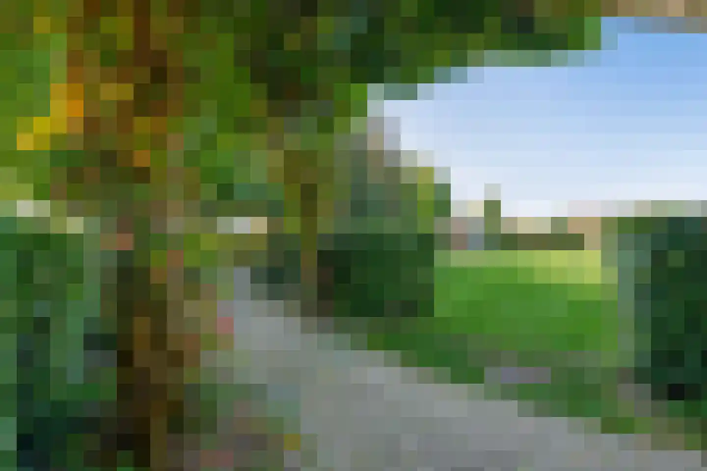 Kamilletuin 24 Assen thumbnail 44