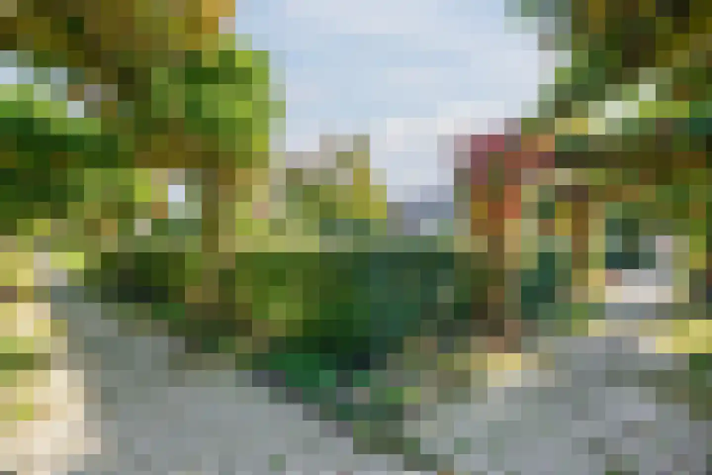 Kamilletuin 24 Assen thumbnail 48
