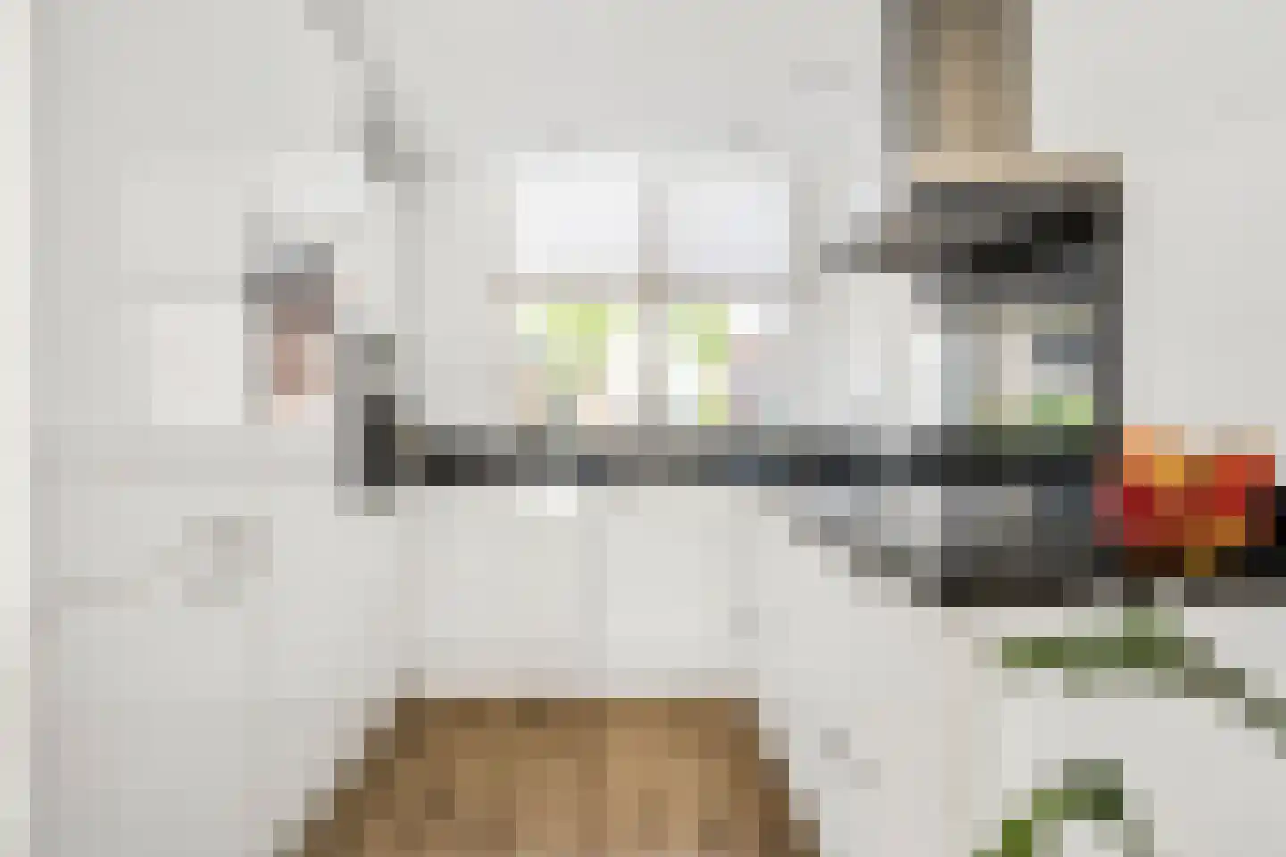 Kamilleveld 15 Nieuwerkerk aan den IJssel thumbnail 19