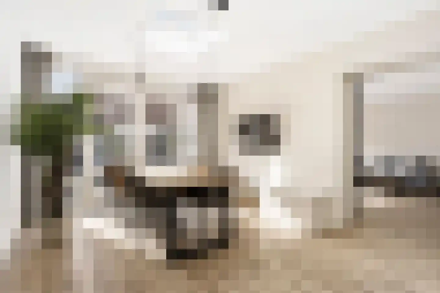 Kamilleveld 15 Nieuwerkerk aan den IJssel thumbnail 4